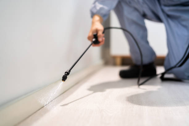 Licensed Termite Control service in Nampa, ID - Show Me Pest Control